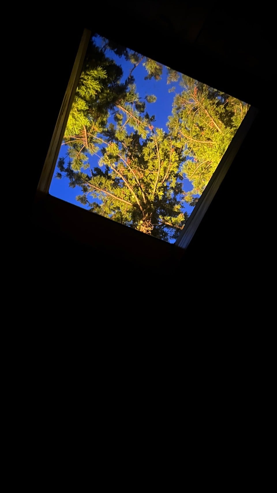 天窗看星空